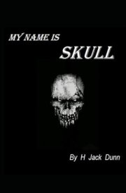 My Name Is Skull cover image