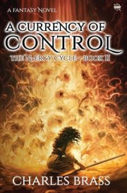 A Currency of Control: The N-ergy Cycle - Book II cover image