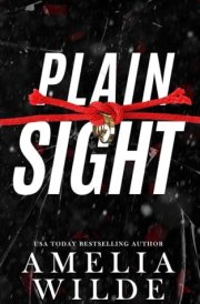 Plain Sight (Risk) cover image