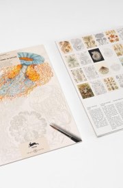 Art Forms in Nature Artists' Colouring Book cover image
