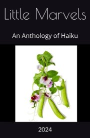 Little Marvels: An Anthology of Haiku cover image
