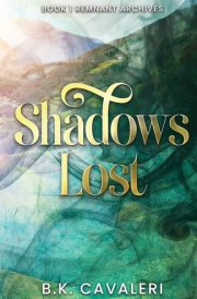 Shadows Lost Remnant Archives cover image