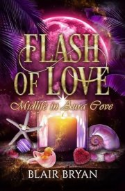 Flash of Love Midlife in Aura Cove Book 6: Midlife in Aura Cove cover image