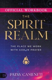 The Official Workbook for The Spirit Realm The Place We Work with God in Prayer cover image