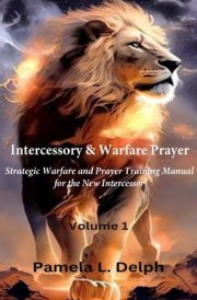 Intercessory & Warfare Prayer: Strategic Warfare and Prayer Training Manual for the New Intercessor, Volume 1 cover image