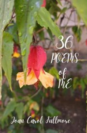 36 Poems of Me cover image