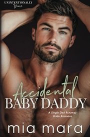 Accidental Baby Daddy: A Single Dad Runaway Bride Romance (Unintentionally Yours) cover image