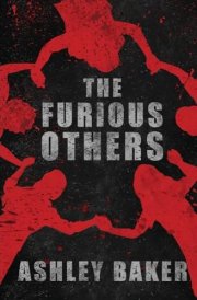 The Furious Others cover image