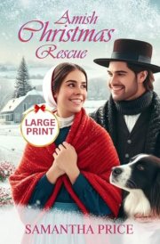 Amish Christmas Rescue LARGE PRINT Amish Romance Novel cover image