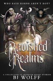 Ravished Realms cover image