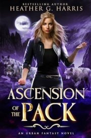 Ascension of the Pack: An Urban Fantasy Novel (The Other Wolf Series) cover image