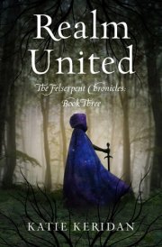 Realm United cover image