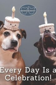 Sookie and Ivy Every Day Is a Celebration! cover image