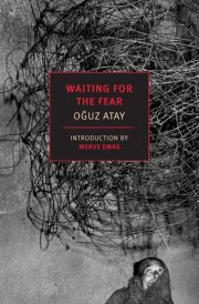 Waiting for the Fear cover image