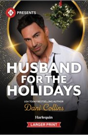 Husband for the Holidays cover image