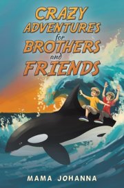 Crazy Adventures for Brothers and Friends cover image