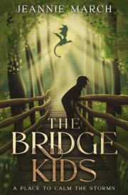 The Bridge Kids A Place to Calm the Storms cover image