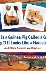 Why Is a Guinea Pig Called a Guinea Pig If It Looks Like a Hamster? And Other Animals We Confuse! cover image
