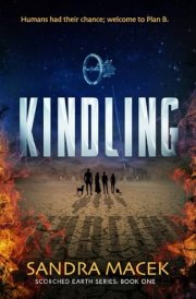 Kindling cover image