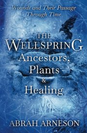 The Wellspring Ancestors, Plants and Healing cover image