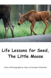 Life Lessons for Seed, The Little Moose cover image
