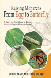 Raising Monarchs from Egg To Butterfly A Step-by-Step Guide to Raising Monarchs in Your Home Or Garden cover image