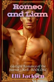 Romeo and Liam: Gaslight Romance of the Hornet's Nest - BOOK ONE cover image