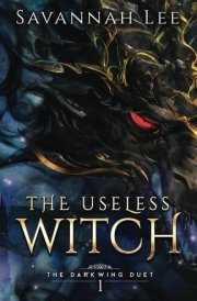 The Useless Witch cover image