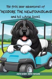The First Year Adventures Of Theodore The Newfoundland And His White Socks cover image