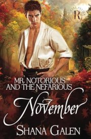 Mr. Notorious and the Nefarious November cover image