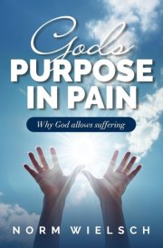 God's Purpose in Pain Why God Allows Suffering cover image