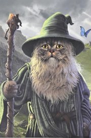 Catdalf Journal (Diary, Notebook) cover image