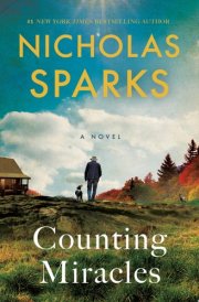 Counting Miracles A Novel cover image