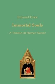 Immortal Souls A Treatise on Human Nature cover image