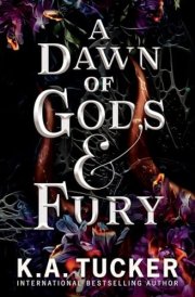 A Dawn of Gods and Fury cover image