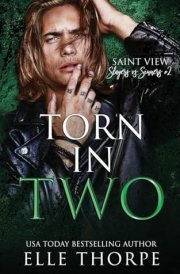 Torn In Two cover image