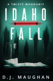 Idaho Fall: A twisty whodunit cover image