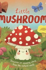 Nature Stories: Little Mushroom-Discover an Amazing Story from the Natural World Padded Board Book cover image