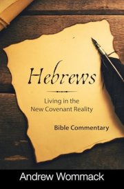 Hebrews Living in the New Covenant Reality: Bible Commentary cover image