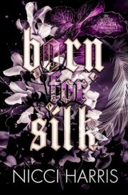 Born For Silk cover image