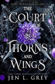 The Court of Thorns and Wings cover image
