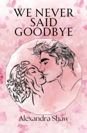 We Never Said Goodbye cover image