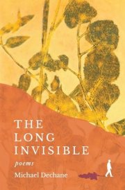 The Long Invisible cover image