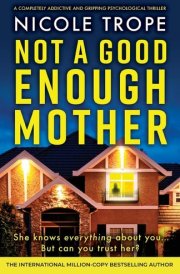 Not a Good Enough Mother A Completely Addictive and Gripping Psychological Thriller cover image