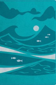 NLT Go Bible for Kids (Leatherlike, Teal Ocean) A Life-Changing Bible for Kids cover image