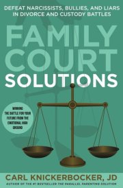 Family Court Solutions Defeat Narcissists, Bullies, and Liars in Divorce and Custody Cases cover image