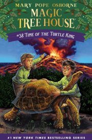 Time of the Turtle King cover image