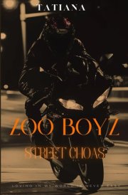 Zoo Boyz: Street Chaos cover image