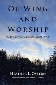 Of Wing and Worship The Extraordinary Advent of Jesus Christ cover image