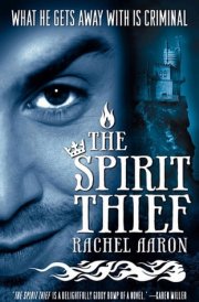 The Spirit Thief cover image